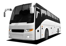 Coach